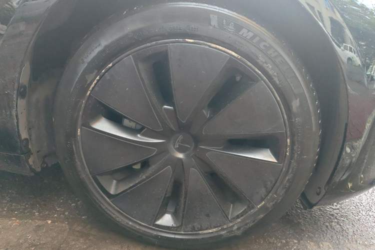 Used Tesla Model 3 2023 Rear-Wheel-Drive Version Exterior 1