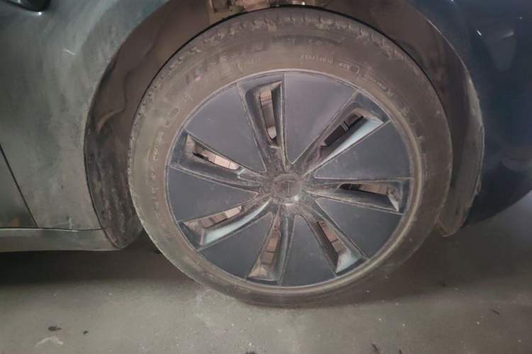 Used Tesla Model 3 2023 Rear-Wheel-Drive Version Exterior 1