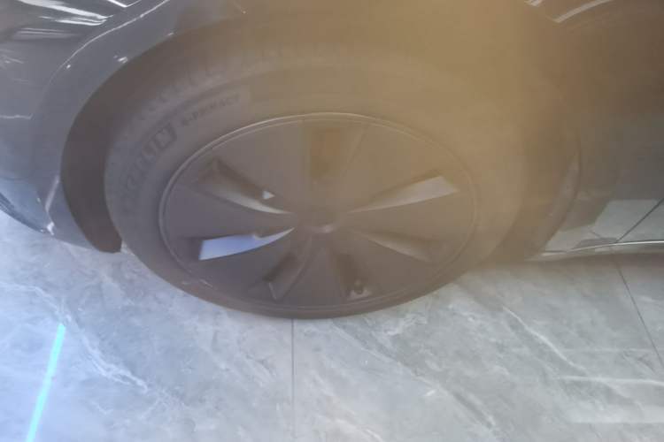 Used Tesla Model 3 2023 Rear-Wheel-Drive Version Exterior 4