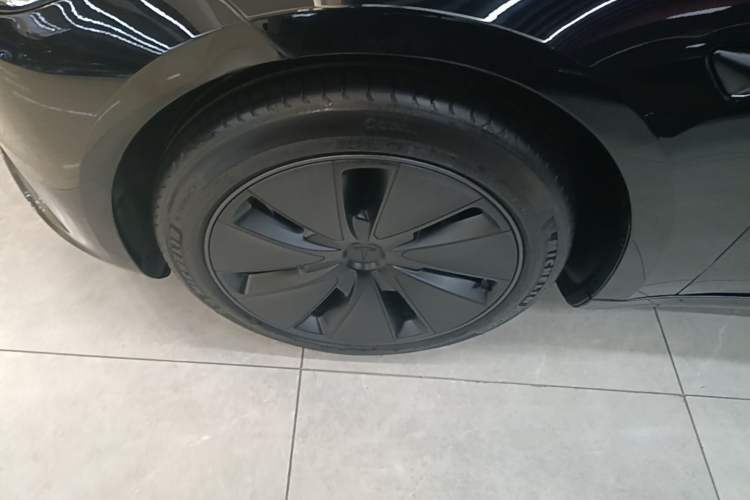 Used Tesla Model 3 2023 Rear-Wheel-Drive Version Exterior 4