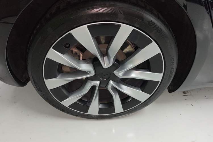Used Tesla Model 3 2023 Rear-Wheel-Drive Version Exterior 5