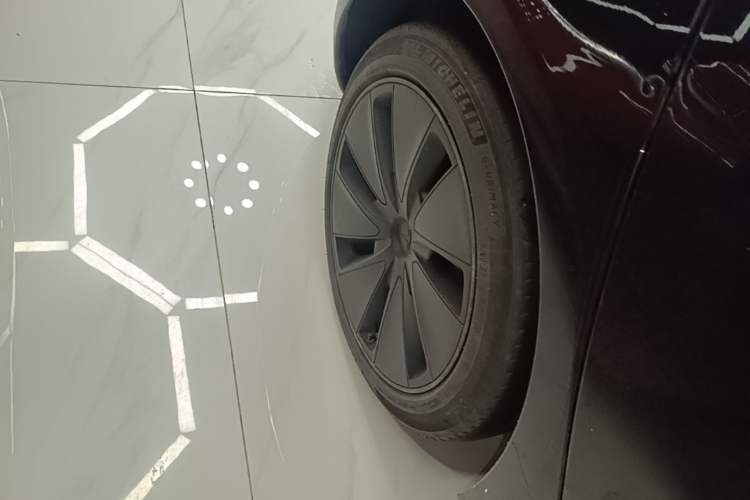 Used Tesla Model 3 2023 Rear-Wheel-Drive Version Exterior 5