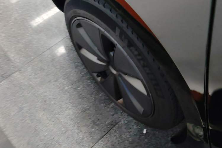 Used Tesla Model 3 2023 Rear-Wheel-Drive Version Exterior 5