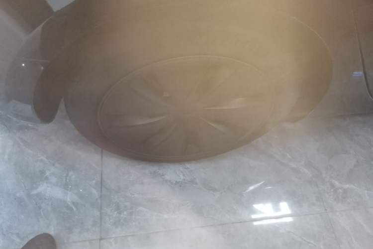 Used Tesla Model 3 2023 Rear-Wheel-Drive Version Exterior 5
