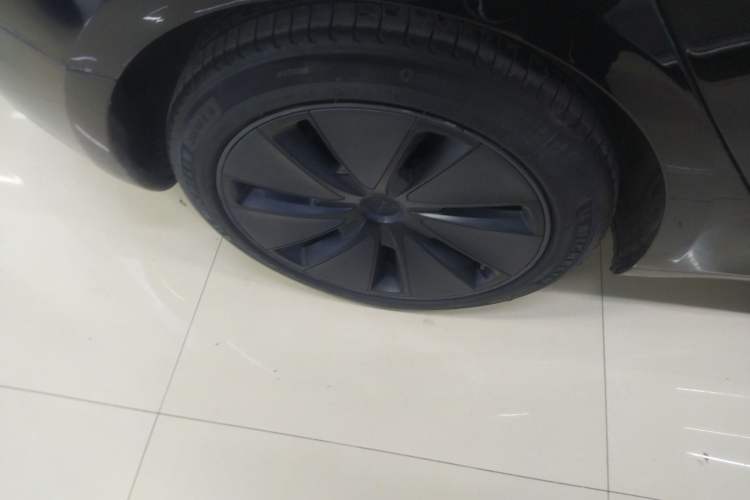 Used Tesla Model 3 2023 Rear-Wheel-Drive Version Exterior 5