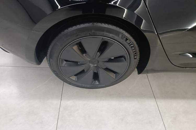 Used Tesla Model 3 2023 Rear-Wheel-Drive Version Exterior 5