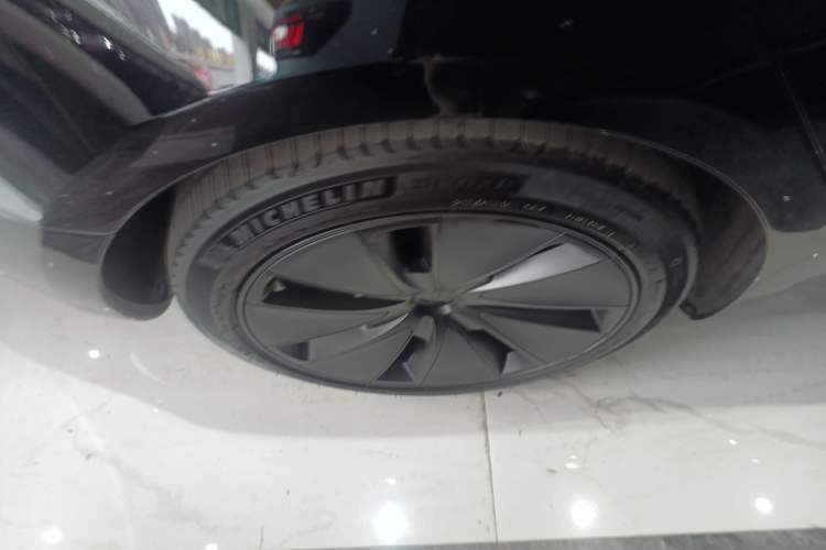 Used Tesla Model 3 2023 Rear-Wheel-Drive Version Exterior 5