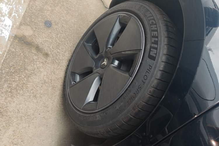 Used Tesla Model 3 2023 Rear-Wheel-Drive Version Exterior 5