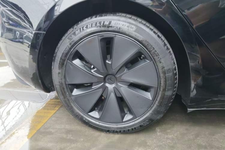 Used Tesla Model 3 2023 Rear-Wheel-Drive Version Exterior 5