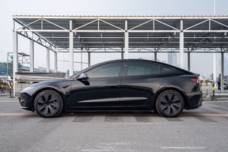 Used Tesla Model 3 2023 Long-Range All-Wheel-Drive Version Exterior 6