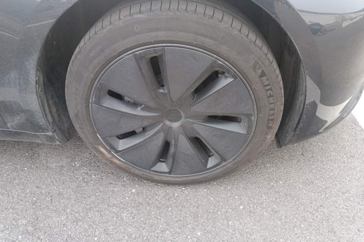 Used Tesla Model 3 2023 Rear-Wheel-Drive Version Exterior 7