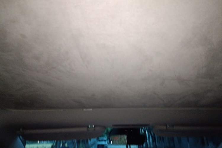 Used Tesla Model 3 2023 Rear-Wheel-Drive Version Headliner