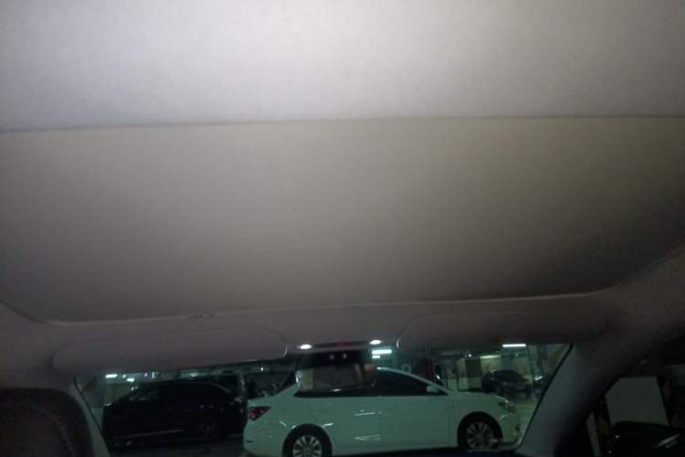 Used Tesla Model 3 2023 Rear-Wheel-Drive Version Headliner
