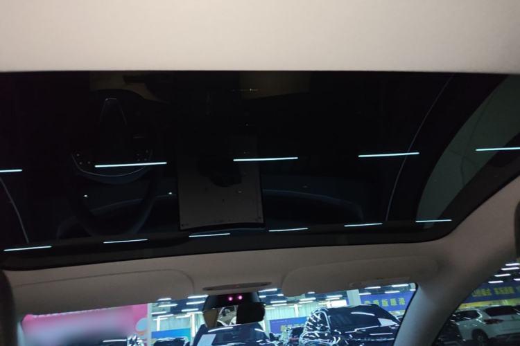 Used Tesla Model 3 2023 Rear-Wheel-Drive Version Headliner