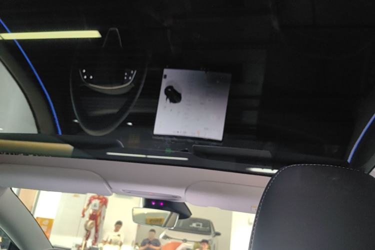 Used Tesla Model 3 2023 Rear-Wheel-Drive Version Headliner