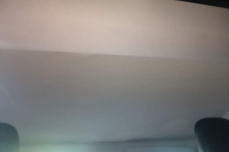 Used Tesla Model 3 2023 Rear-Wheel-Drive Version Headliner