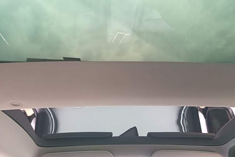 Used Tesla Model 3 2023 Rear-Wheel-Drive Version Headliner