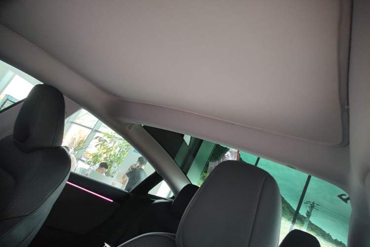 Used Tesla Model 3 2023 Rear-Wheel-Drive Version Headliner
