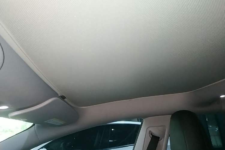 Used Tesla Model 3 2023 Rear-Wheel-Drive Version Headliner