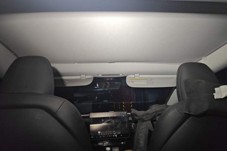 Used Tesla Model 3 2023 Rear-Wheel-Drive Version Headliner