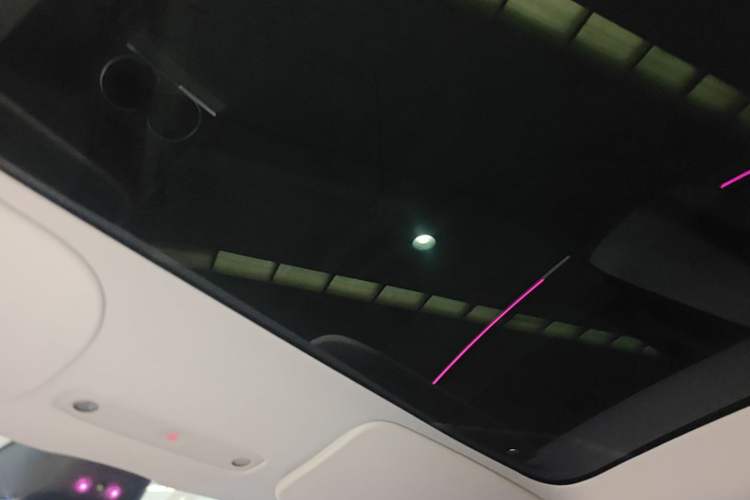 Used Tesla Model 3 2023 Rear-Wheel-Drive Version Headliner
