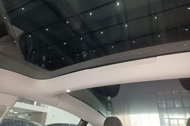 Used Tesla Model 3 2023 Long-Range All-Wheel-Drive Version Headliner