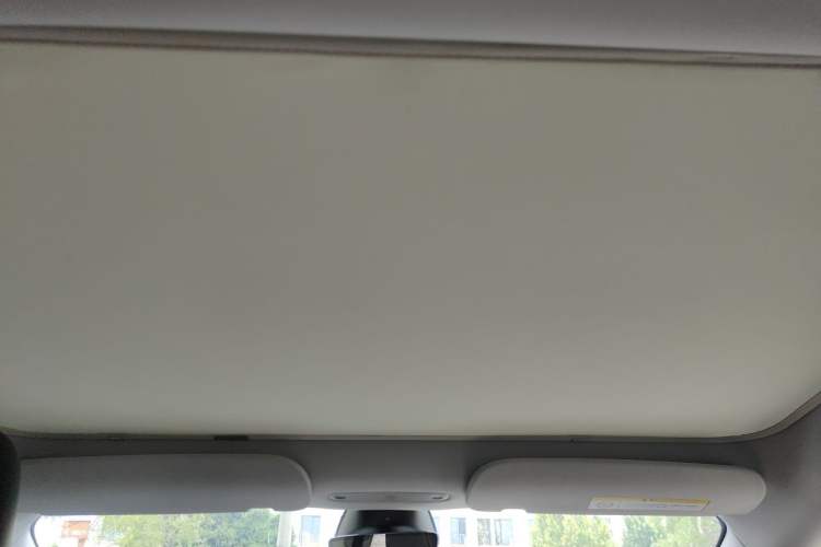 Used Tesla Model 3 2023 Rear-Wheel-Drive Version Headliner