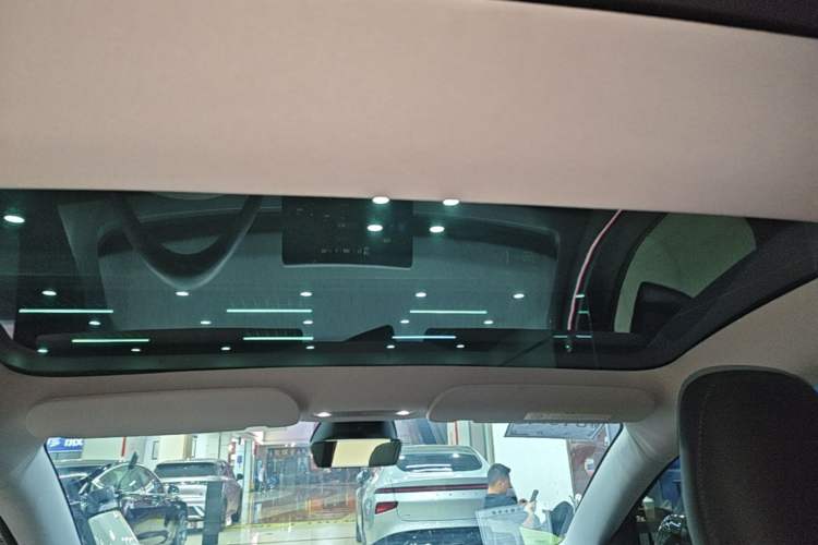 Used Tesla Model 3 2023 Rear-Wheel-Drive Version Headliner