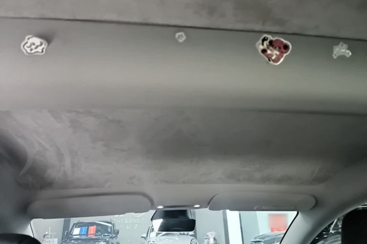 Used Tesla Model 3 2023 Long-Range All-Wheel-Drive Version Headliner