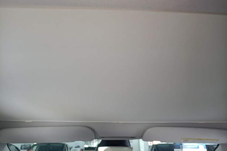 Used Tesla Model 3 2023 Long-Range All-Wheel-Drive Version Headliner