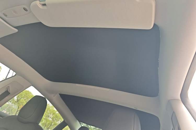 Used Tesla Model 3 2023 Rear-Wheel-Drive Version Headliner