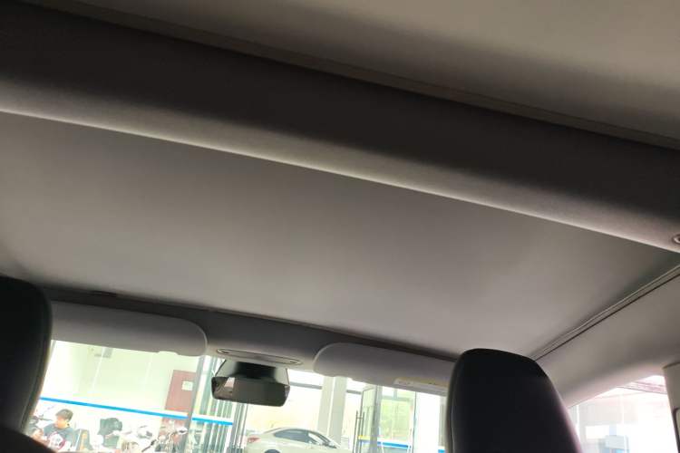 Used Tesla Model 3 2023 Rear-Wheel-Drive Version Headliner