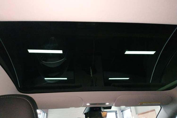 Used Tesla Model 3 2023 Rear-Wheel-Drive Version Headliner