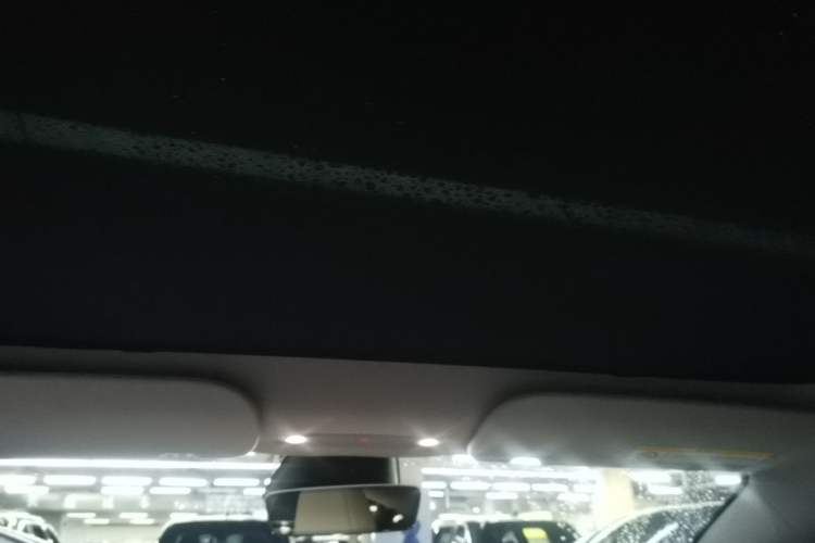Used Tesla Model 3 2023 Long-Range All-Wheel-Drive Version Headliner