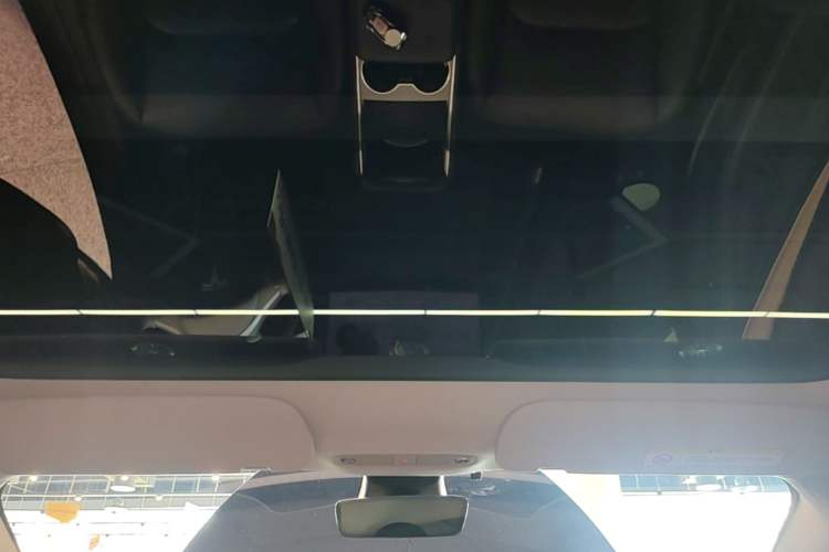 Used Tesla Model 3 2023 Rear-Wheel-Drive Version Headliner
