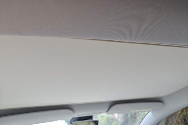 Used Tesla Model 3 2023 Rear-Wheel-Drive Version Headliner
