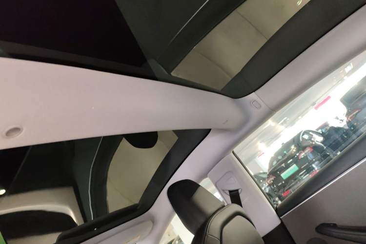 Used Tesla Model 3 2023 Rear-Wheel-Drive Version Headliner