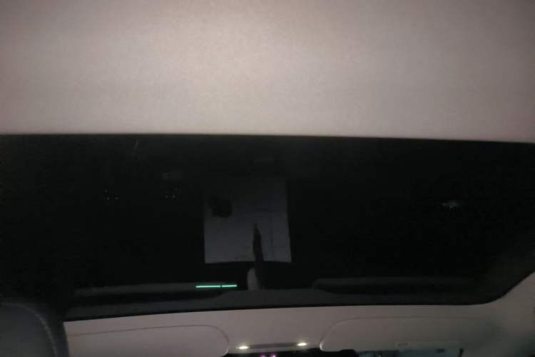 Used Tesla Model 3 2023 Long-Range All-Wheel-Drive Version Headliner