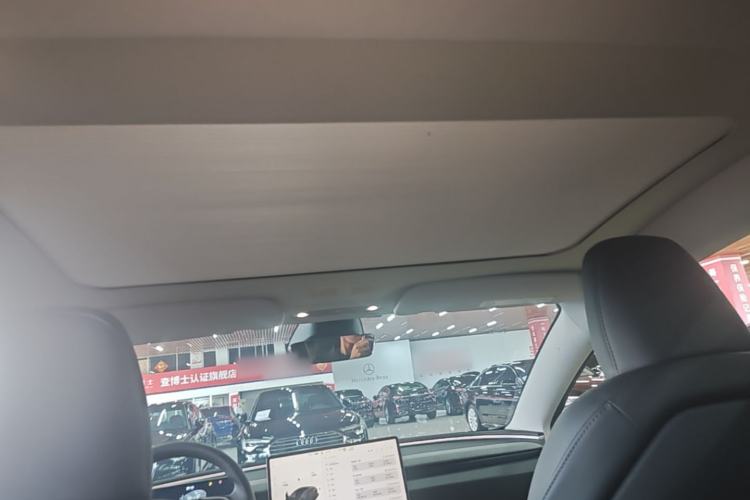 Used Tesla Model 3 2023 Rear-Wheel-Drive Version Headliner