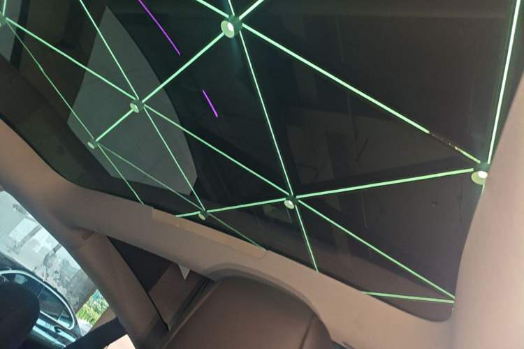 Used Tesla Model 3 2023 Rear-Wheel-Drive Version Headliner