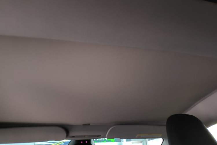 Used Tesla Model 3 2023 Long-Range All-Wheel-Drive Version Headliner