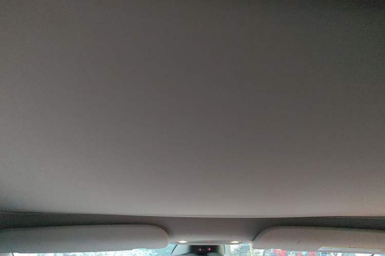 Used Tesla Model 3 2023 Rear-Wheel-Drive Version Headliner