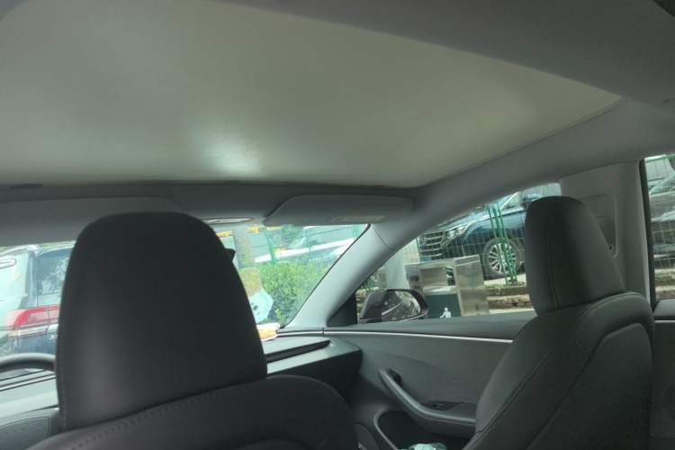 Used Tesla Model 3 2023 Rear-Wheel-Drive Version Headliner