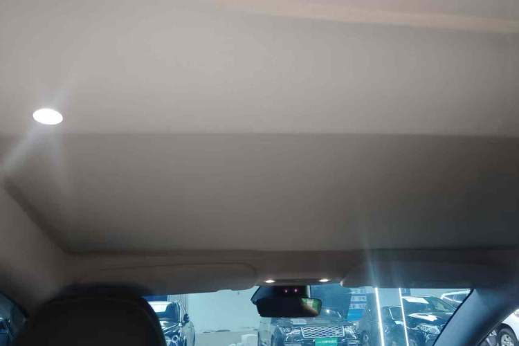 Used Tesla Model 3 2023 Rear-Wheel-Drive Version Headliner