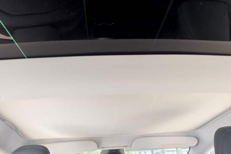 Used Tesla Model 3 2023 Rear-Wheel-Drive Version Headliner