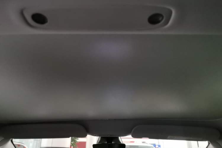 Used Tesla Model 3 2023 Rear-Wheel-Drive Version Headliner