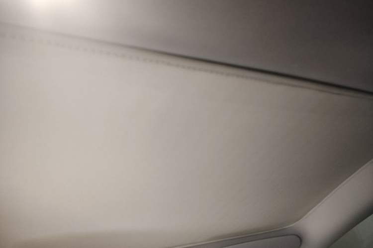 Used Tesla Model 3 2023 Rear-Wheel-Drive Version Headliner