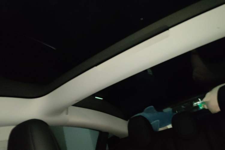 Used Tesla Model 3 2023 Long-Range All-Wheel-Drive Version Headliner