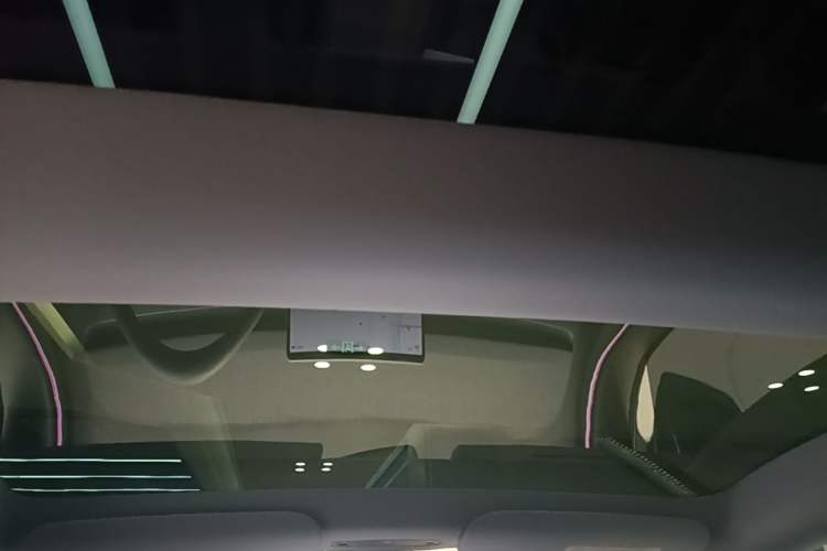 Used Tesla Model 3 2023 Rear-Wheel-Drive Version Headliner