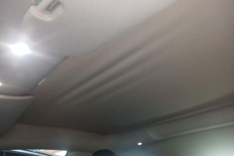 Used Tesla Model 3 2023 Rear-Wheel-Drive Version Headliner